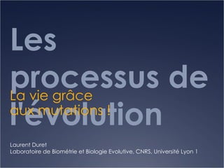 Les processus de l'évolution  La vie grâce aux mutations !  Laurent Duret Laboratoire de Biométrie et Biologie Evolutive, CNRS, Université Lyon 1 
