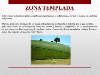 Esta zona de la tierra presenta excelentes condiciones para la vida humana, por eso es la zona más poblada
del planeta.
Durante el invierno los rayos del sol llegan indirectamente a esta parte de la tierra, por lo que hace frío,
pero en el verano, los rayos llegan en forma más directa, y aumenta la temperatura. En las zonas templadas
se nota claramente las 4 estaciones, lo que hace posible el desarrollo de una variedad de cultivos. En estas
zonas hay una gran variedad de flora y fauna.
 
