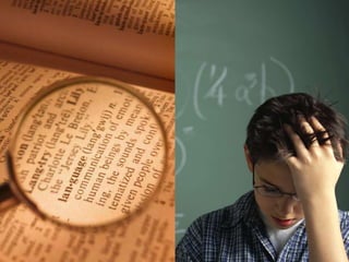 Intelligence/Ability TestsWechsler Nonverbal Scale of AbilityPearsonwww.pearsonassessments.comMeasure of ability; especially designed for culturally and linguistically diverse groups.