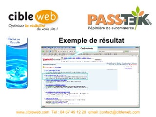 Exemple de résultat www.cibleweb.com  Tél : 04 67 49 12 20  email :contact@cibleweb.com Cerf volants 