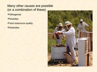 Many other causes are possible (or a combination of these) Pathogenes Parasites Food ressource quality  Pesticides 