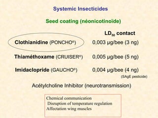 Systemic Insecticides Thiaméthoxame  (CRUISER ® ) Seed coating (néonicotinoïde) Clothianidine  (PONCHO ® ) Acétylcholine Inhibitor (neurotransmission) 0,005  μ g/bee (5 ng) LD 50   contact 0,003  μ g/bee (3 ng) (SAgE pesticide) Imidaclopride  (GAUCHO ® ) 0,004  μ g/bee (4 ng) Chemical communication Disruption of temperature regulation Affectation wing muscles 