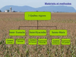 Matériels et methodes 3 Québec régions  Sainte-Marie Saint- Eustache Saint-Hyacinthe Control Lachute Control St-Francois Control St-Étienne Expérimental St-André Expérimental Pierreville Expérimental St-Lambert 