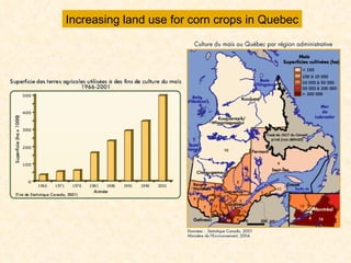Increasing land use for corn crops in Quebec 