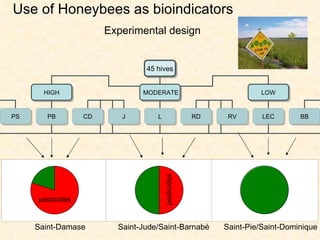 Experimental design Saint-Damase Saint-Jude/Saint-Barnabé Saint-Pie/Saint-Dominique pesticides pesticides Use of Honeybees as bioindicators 45 hives HIGH MODERATE LOW RV LEC J L RD BB PS PB CD 