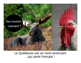 Le Québécois est un nord-américain
…qui parle français !
Des cousins
vraiment ?
 