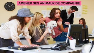 AMENER SES ANIMAUX DE COMPAGNIE
 