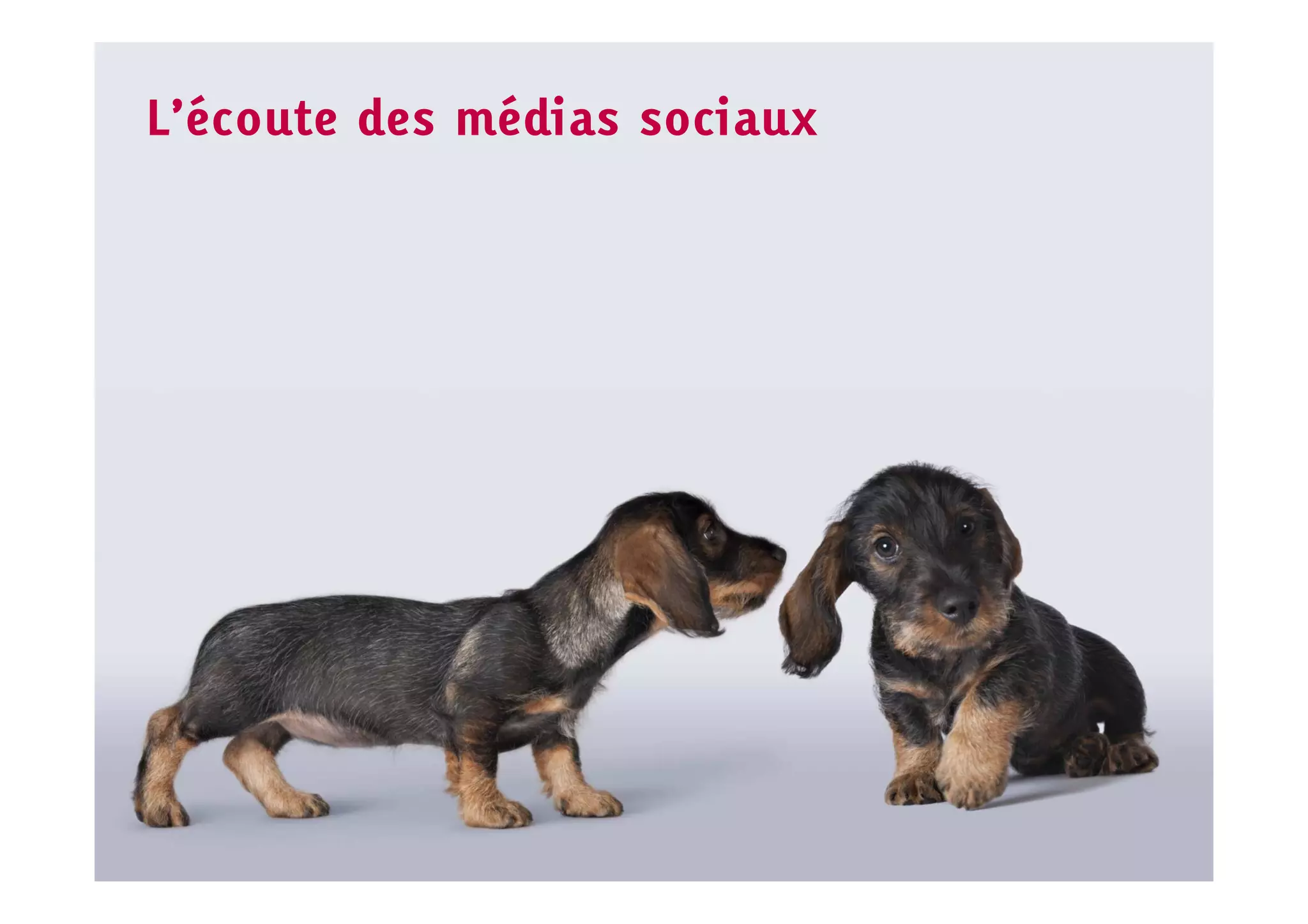 L’écoute des médias sociaux
 