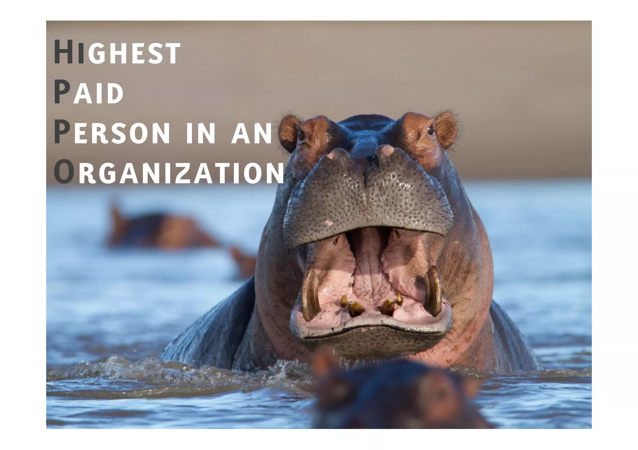 Highest
Highest
Paid
Person in an
Organization
 