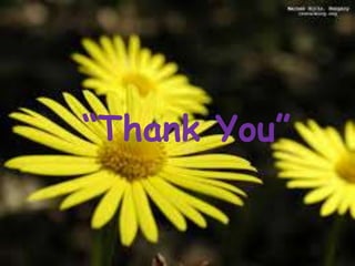 “Thank You”
 
