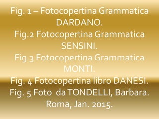 Fig. 1 – Fotocopertina Grammatica
DARDANO.
Fig.2 Fotocopertina Grammatica
SENSINI.
Fig.3 Fotocopertina Grammatica
MONTI.
Fig. 4 Fotocopertina libro DANESI.
Fig. 5 Foto daTONDELLI, Barbara.
Roma, Jan. 2015.
 