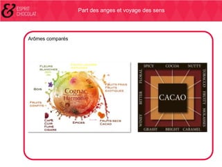 Part des anges et voyage des sens

Arômes comparés

 