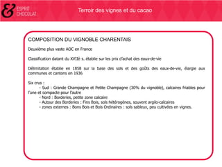 Terroir des vignes et du cacao

COMPOSITION DU VIGNOBLE CHARENTAIS
Deuxième plus vaste AOC en France
Classification datant du XVIIè s. établie sur les prix d’achat des eaux-de-vie
Délimitation établie en 1858 sur la base des sols et des goûts des eaux-de-vie, élargie aux
communes et cantons en 1936
Six crus :
- Sud : Grande Champagne et Petite Champagne (30% du vignoble), calcaires friables pour
l’une et compacte pour l’autre
- Nord : Borderies, petite zone calcaire
- Autour des Borderies : Fins Bois, sols hétérogènes, souvent argilo-calcaires
- zones externes : Bons Bois et Bois Ordinaires : sols sableux, peu cultivées en vignes.

 