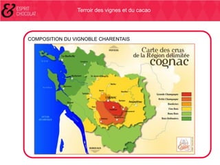 Terroir des vignes et du cacao

COMPOSITION DU VIGNOBLE CHARENTAIS

 