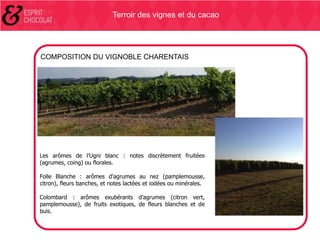 Terroir des vignes et du cacao

COMPOSITION DU VIGNOBLE CHARENTAIS

Les arômes de l’Ugni blanc : notes discrètement fruitées
(agrumes, coing) ou florales.
Folle Blanche : arômes d’agrumes au nez (pamplemousse,
citron), fleurs banches, et notes lactées et iodées ou minérales.
Colombard : arômes exubérants d’agrumes (citron vert,
pamplemousse), de fruits exotiques, de fleurs blanches et de
buis.

 
