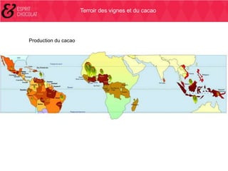 Terroir des vignes et du cacao

Production du cacao

 