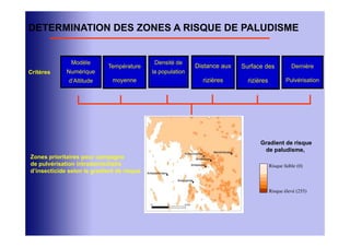 DETERMINATION DES ZONES A RISQUE DE PALUDISME


               Modèle                        Densité de
                            Température                     Distance aux   Surface des             Dernière
Critères     Numérique                      la population
              d’Altitude      moyenne                         rizières       rizières           Pulvérisation




                                                                                  Gradient de risque
                                                                                   de paludisme,
Zones prioritaires pour campagne
de pulvérisation intradomiciliaire                                                      Risque faible (0)
d’insecticide selon le gradient de risque


                                                                                        Risque élevé (255)
 