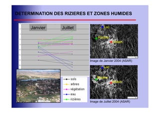 DETERMINATION DES RIZIERES ET ZONES HUMIDES


     Janvier     Juillet            Lac


                                Rizière
                                          Urbain




                           Image de Janvier 2004 (ASAR)

                                    Lac


                               Rizière
                                          Urbain




                           Image de Juillet 2004 (ASAR)
 