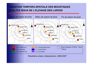 VARIATION TEMPORO-SPATIALE DES MOUSTIQUES
ADULTES ISSUS DE L’ELEVAGE DES LARVES

Début de saison de pluie       Milieu de saison de pluie   Fin de saison de pluie




       An. arabiensis          Cx. quinquefasciatus        Zone tampon (2.5km ; 5km ;
       An. coustani            Cx. antennatus              7.5km)
       An. squamosus           Cx. poïcilipes

                        Paludisme urbain, Antananarivo, 2006-2007
 