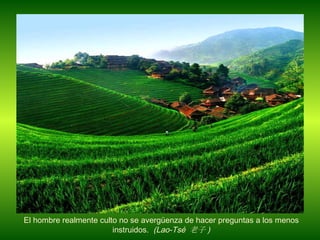 El hombre realmente culto no se averg ü enza de hacer preguntas a los menos instruidos.  (Lao-Tsé  老子 )‏ 