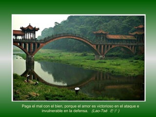 Paga el mal con el bien, porque el amor es victorioso en el ataque e invulnerable en la defensa.  (Lao-Tsé  老子 ) 