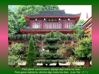 Para ganar conocimiento, agrega algo todos los d í as. Para ganar sabidur í a, elimina algo todos los d í as.  (Lao-Tsé  老子 )‏ 