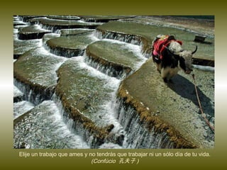 Elije un trabajo que ames y no tendrás que trabajar ni un sólo d í a de tu vida.  (Confúcio  孔夫子 ) 