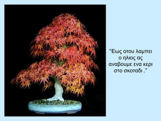 “ Εως οτου λαμπει ο ηλιος ας αναβουμε ενα κερι στο σκοταδι  .” 