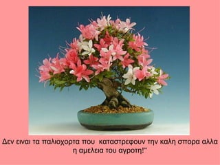 Δεν ειναι τα παλιοχορτα που  καταστρεφουν την καλη σπορα αλλα η αμελεια του αγροτη !“ 