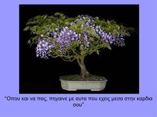 “ Οπου και να πας, πηγαινε με αυτα που εχεις μεσα στην καρδια σου ” 