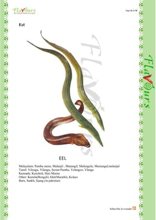 Page 14 of 70




Eel




Malayalam: Pambu meen, Malanjil , Manangil, Malungulu, Maniangal,malanjal
Tamil: Vilongu, Vilangu, Seram Pambu, Velangoo, Vlangu
Kannada: Kencholi, Hari Meenu
Other: Kamila(Bengali) Ahir(Marathi), Kolaav
Barn, Sankh, Saang (in pakistan)




                                                                 Subscribe in a reader
 