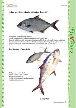 Page 30 of 70




Allied kingfish/Amberjack ( Seriola dumerili )




Malayalam: Punnara Meen, Punnaara
Arabic: Hamam,Halwayo,Inch,Intias,Intyâs,Jibb,Sholah,Tsola
English: Allied kingfish, Amberjack, Great amberfish, Great yellowtail, Greater amberjack,
Greater amberjack (German: Grosse Bernsteinmakrele) , Greater yellowtail, jenny lind,
purplish amberjack, Rock salmon,Sailor's choice,Samson fish, Yellow tail


Leatherskin (Queenfish)




Malayalam: Leather, koda
Tamil: Theera, Katta, Tol Para
Kannada: Palai-meenu
Arabic:Alsain,lihlah,Zelaa, Bassardareb
Aal, Saram,(in pakistan)




                                                                       Subscribe in a reader
 