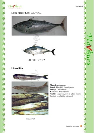 Page 31 of 70




Little tunny/ Letti (refer TUNA)




Lizard fish




                                   Malaylam: Arranna
                                   Tamil: Thumbili, thanni panna
                                   Telugu: Cade mottah
                                   Kannada: Aranai meenu
                                   Arabic: Macarona, Abu al leban, baram
                                   Koniari, bombala(in pakistan)




                                                      Subscribe in a reader
 