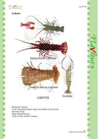 Page 32 of 70




Lobster




Malayalam: Konjan
Tamil: Singi Raal, Kalral, Singi Erali, Maaku Eral, Kal eral
Kannada: konju
Kikat, kikka(Pakistan)
Arabic: Kufea, shurkh al amaaq




                                                               Subscribe in a reader
 