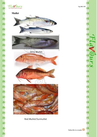 Page 40 of 70




Mullet




         Subscribe in a reader
 