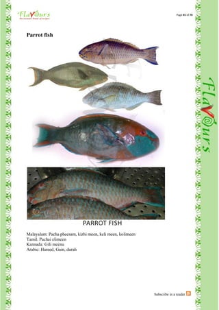 Page 45 of 70




Parrot fish




Malayalam: Pacha pheesam, kizhi meen, keli meen, kolimeen
Tamil: Pachai elimeen
Kannada: Gili meenu
Arabic: Hareed, Gain, durah




                                                            Subscribe in a reader
 