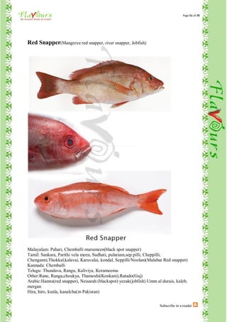 Page 51 of 70




Red Snapper(Mangrove red snapper, river snapper, Jobfish)




Malayalam: Pahari, Chemballi murumeen(black spot snapper)
Tamil: Sankara, Parithi vela meen, Sudhati, pulariam,sep pilli, Cheppilli,
Chenganni,Thokkal,kalavai, Karuvalai, kondal, Seppilli/Noolani(Malabar Red snapper)
Kannada: Chemballi
Telugu: Thundava, Rangu, Kaliviya, Korameemu
Other:Rane, Ranga,choukya, Thamoshi(Konkani),Ratado(Guj)
Arabic:Hamra(red snapper), Neisarah (blackspot) yezak(jobfish) Umm al durais, kaleb,
mergan
Hira, hiro, kunla, kanalcha(in Pakistan)


                                                                     Subscribe in a reader
 