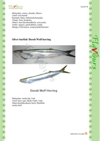Page 58 of 70



Malayalam: sraavu, choraku, Shravu
Tamil: sura,Sorrah
Kannada: thatte, balliar(tulu/kannada)
Telugu: Sora, Soraputtu
Others: mori (Konkani)Boalu, zori,sorrah,
Arabic: jargoor, gursh,lakham, walad
Mangra, Pishi kamot, sorapi pishik(Pakistan)




Silver barfish/ Dorab Wolf herring




Malayalam: mulluvala, Vala
Tamil: karu vaali, Mullu Vallai, Valai
Others:Korli(Konkani), Karli, Mullibala
Arabic:Helf




                                               Subscribe in a reader
 