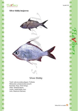Page 60 of 70




Silver biddy/majorras




Tamil: uduvan,oodan,udagam, Velludan
Malayalam: pranjin,kodian purachi
Kannada: Paiya, Hole bainge,
Other: Shekti(konkan)
Arabic: badah,bedha, kass
Jerki, Mudro(in Pakistan)




                                       Subscribe in a reader
 