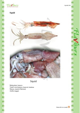 Page 62 of 70




Squid




Malayalam: kanava
Tamil: oosi kanawa, kanavai, kadama
Mayya, mus(in Pakistan)
Arabic:naggar




                                      Subscribe in a reader
 
