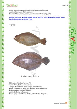 Page 65 of 70



Other: chura,choora,toona,bugudi,tokke,kawakawa (little tuna)
Arabic: taban, tuban, shiriwa,zainoop
Pakistan: Chuki, chunki, Dawan, ulus(kawakawa)kishki(skip jack)

Identify Albacore, Atlantic Bonito, Bigeye, Blackfin Tuna, Kawakawa, Little Tunny,
Pacific Bonito and Yellowfin Tuna


Turbot




Malayalam: Manthal, Aayiram Pali
Tamil: Potha, Pothal, Erumei-Nakku
Telugu: Dodda Nangu, Kolli Nangu , Noree-Nalaka
Other: Kuppa machli, Haro Jeeb (Gujarati) Bhakas (Marathi)
Hajam, dandani, kochuk(Pakistan)
Arabic: Kubzet al bahar,madas
Indian Spiny Turbot,Indian Halibut,Indian Turbot (English)




                                                                  Subscribe in a reader
 