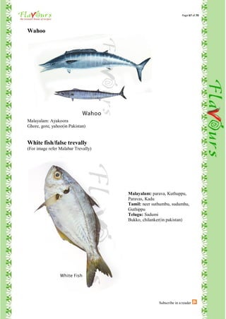 Page 67 of 70




Wahoo




Malayalam: Ayakoora
Ghore, gore, yahoo(in Pakistan)


White fish/false trevally
(For image refer Malabar Trevally)




                                     Malayalam: parava, Kuthuppu,
                                     Paravas, Kadu
                                     Tamil: neer suthumbu, sudumhu,
                                     Guthippu
                                     Telugu: Sadumi
                                     Bukko, chilanker(in pakistan)




                                                    Subscribe in a reader
 