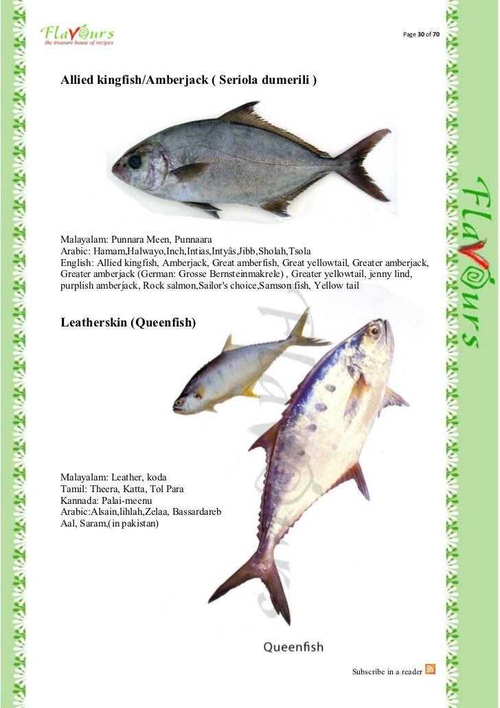 Confused Over Fish Names