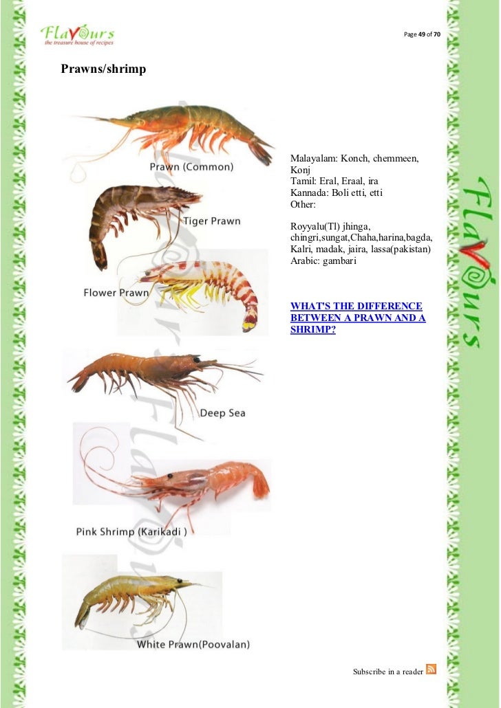 Confused Over Fish Names