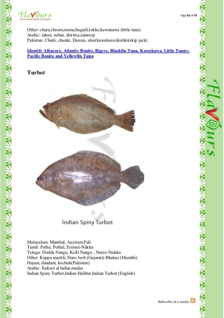 Confused Over Fish Names