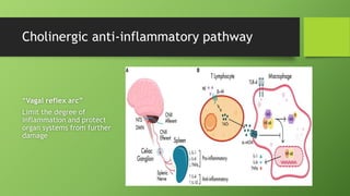 Cholinergic anti-inflammatory pathway
“Vagal reflex arc”
Limit the degree of
inflammation and protect
organ systems from further
damage
 
