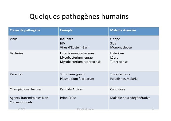 confvaccinsottmann