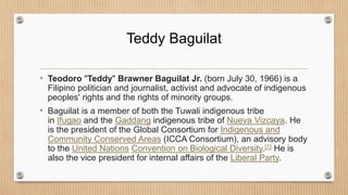 Teddy Baguilat
• Teodoro "Teddy" Brawner Baguilat Jr. (born July 30, 1966) is a
Filipino politician and journalist, activist and advocate of indigenous
peoples' rights and the rights of minority groups.
• Baguilat is a member of both the Tuwali indigenous tribe
in Ifugao and the Gaddang indigenous tribe of Nueva Vizcaya. He
is the president of the Global Consortium for Indigenous and
Community Conserved Areas (ICCA Consortium), an advisory body
to the United Nations Convention on Biological Diversity.[1] He is
also the vice president for internal affairs of the Liberal Party.
 