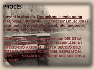 PROCÈSDavant la situació, l'organisme intenta portar més oxigen als teixits,, contraccions musculars i augment del metabolisme, sobretot anaerobi, amb augment de l'acidesa.Clínicament hi ha etapes que van DES DE LA PAL LIDESA AMB TAQUIPNEA I TAQUICÀRDIA I HIPERTENSIÓ ARTERIAL, FINS LA DECISIÓ DELS SISTEMES CARDIOCIRCULATORI, RESPIRATORI, NERVIÓS I METABÒLIC, PODENT ARRIBAR FINS A LA MORT. 