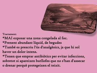 Tractament:*MAI exposar una zona congelada al foc. *Prenent abundant líquid, de begudes *També es prescriu l'ús d'analgèsics, ja que hi sol haver un dolor intens.*Tenen que emprar antibiòtics per evitar infeccions, sobretot si apareixen butllofes que no s'han d'assecar o drenar perquè protegeixen el teixit. 